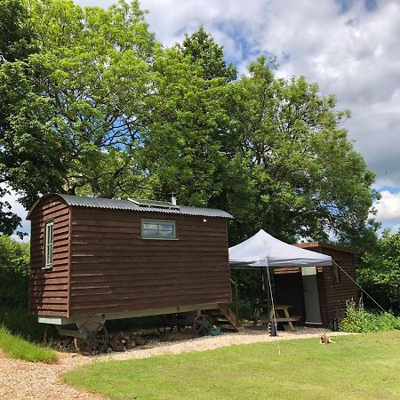 The Shepherds Hut At The Shippen, Tiphayes Honiton Buitenkant foto