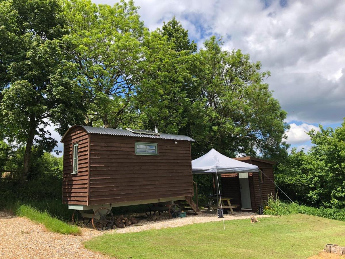 The Shepherds Hut At The Shippen, Tiphayes Honiton Buitenkant foto