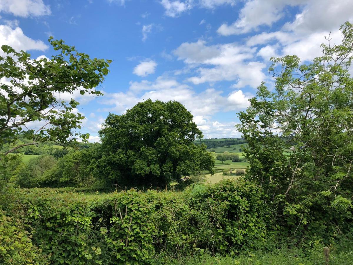 The Shepherds Hut At The Shippen, Tiphayes Honiton Buitenkant foto