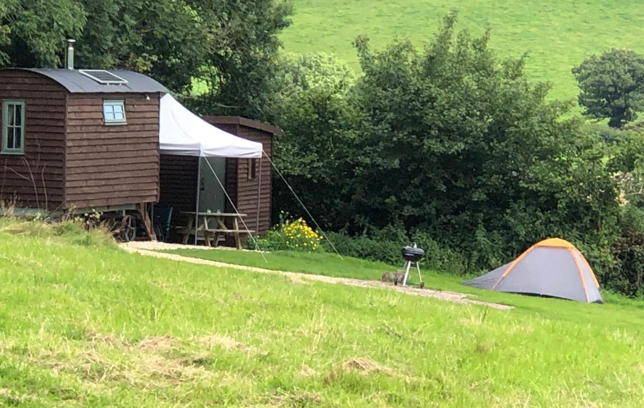 The Shepherds Hut At The Shippen, Tiphayes Honiton Buitenkant foto